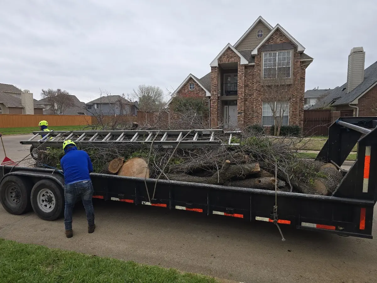 Expert Crown Reduction with proper safety equipment in Springville